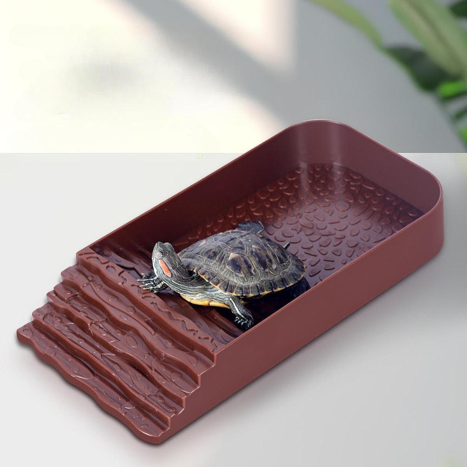 Feeding - Large Turtle Water Dish Reptile Feeding